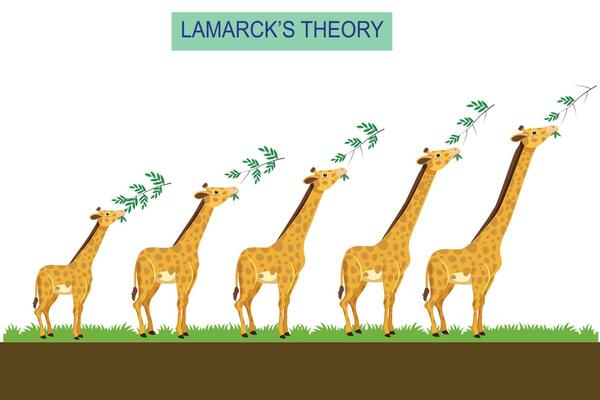 El Programa de Lamarck: Evolución, Ideas y Legado en la Ciencia