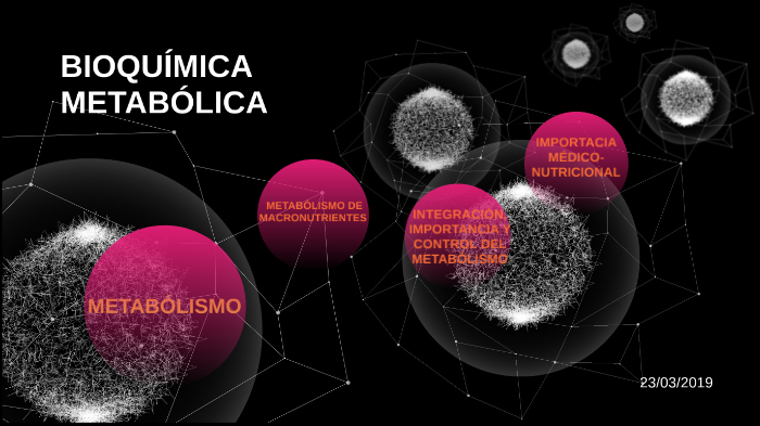 La estructura de la bioquímica metabólica